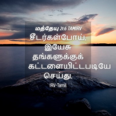 Picture 04 - மத்தேயு 21:6 TAMIRV - சீடர்கள்போய், - Bible Verse Picture
