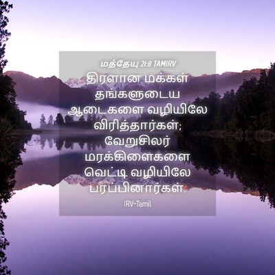 Picture 04 - மத்தேயு 21:8 TAMIRV - திரளான மக்கள் - Bible Verse Picture