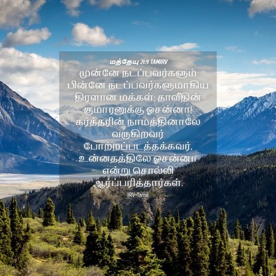 Picture 04 - மத்தேயு 21:9 TAMIRV - முன்னே - Bible Verse Picture