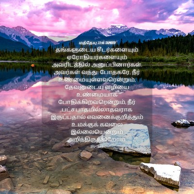 Picture 04 - மத்தேயு 22:16 TAMIRV - தங்களுடைய - Bible Verse Picture