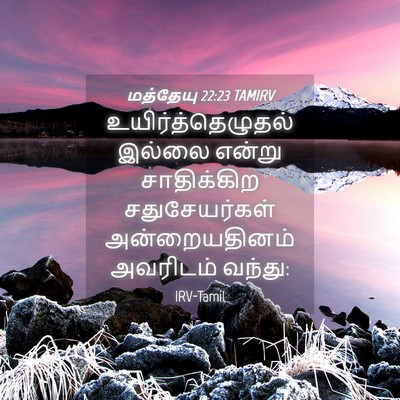 Picture 04 - மத்தேயு 22:23 TAMIRV - உயிர்த்தெழுதல் - Bible Verse Picture