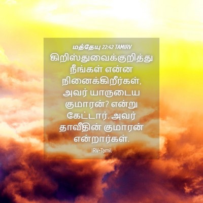 Picture 04 - மத்தேயு 22:42 TAMIRV -  - Bible Verse Picture