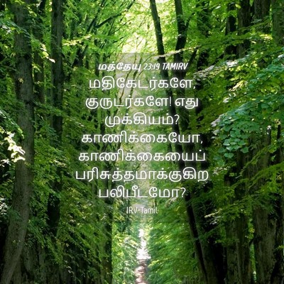 Picture 04 - மத்தேயு 23:19 TAMIRV - மதிகேடர்களே, - Bible Verse Picture