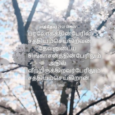 Picture 04 - மத்தேயு 23:22 TAMIRV -  - Bible Verse Picture