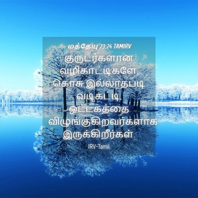 Picture 04 - மத்தேயு 23:24 TAMIRV - குருடர்களான - Bible Verse Picture