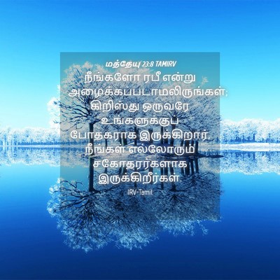 Picture 04 - மத்தேயு 23:8 TAMIRV - நீங்களோ ரபீ என்று - Bible Verse Picture