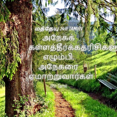 Picture 04 - மத்தேயு 24:11 TAMIRV - அநேகக் - Bible Verse Picture