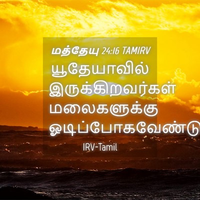 Picture 04 - மத்தேயு 24:16 TAMIRV - யூதேயாவில் - Bible Verse Picture