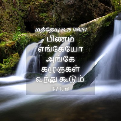 Picture 04 - மத்தேயு 24:28 TAMIRV - பிணம் எங்கேயோ - Bible Verse Picture