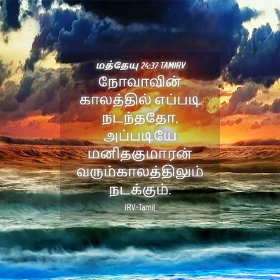 Picture 04 - மத்தேயு 24:37 TAMIRV - நோவாவின் - Bible Verse Picture