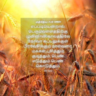 Picture 04 - மத்தேயு 24:38 TAMIRV - எப்படியென்றால், - Bible Verse Picture