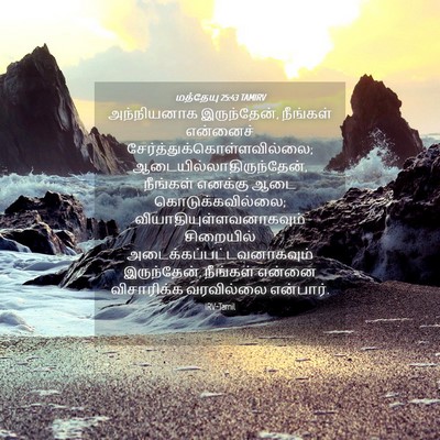 Picture 04 - மத்தேயு 25:43 TAMIRV - அந்நியனாக - Bible Verse Picture