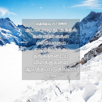 Picture 04 - மத்தேயு 25:7 TAMIRV - அப்பொழுது, அந்தக் - Bible Verse Picture