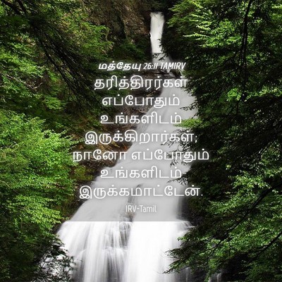 Picture 04 - மத்தேயு 26:11 TAMIRV - தரித்திரர்கள் - Bible Verse Picture