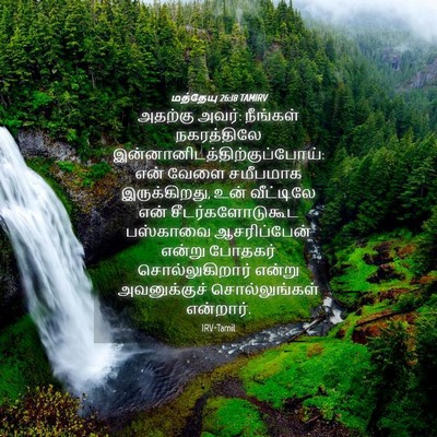 Picture 04 - மத்தேயு 26:18 TAMIRV - அதற்கு அவர்: - Bible Verse Picture