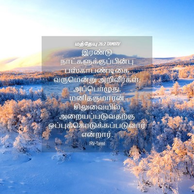 Picture 04 - மத்தேயு 26:2 TAMIRV - இரண்டு - Bible Verse Picture