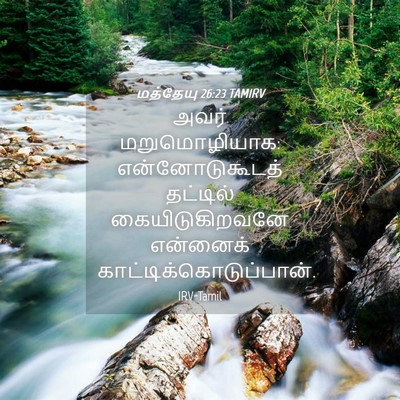 Picture 04 - மத்தேயு 26:23 TAMIRV - அவர் மறுமொழியாக: - Bible Verse Picture