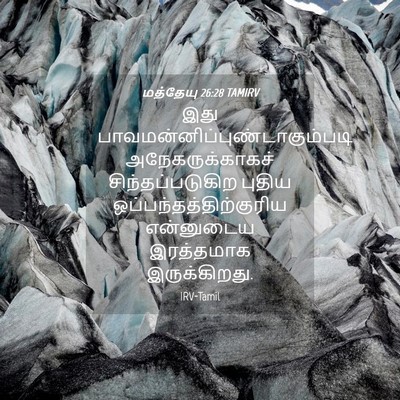 Picture 04 - மத்தேயு 26:28 TAMIRV - இது - Bible Verse Picture