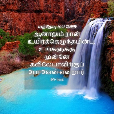 Picture 04 - மத்தேயு 26:32 TAMIRV - ஆனாலும் நான் - Bible Verse Picture