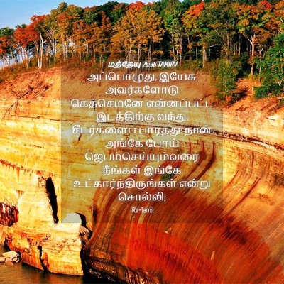 Picture 04 - மத்தேயு 26:36 TAMIRV - அப்பொழுது, இயேசு - Bible Verse Picture