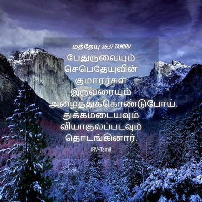 Picture 04 - மத்தேயு 26:37 TAMIRV - பேதுருவையும் - Bible Verse Picture