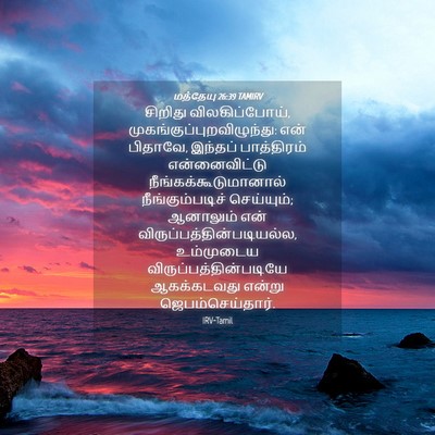 Picture 04 - மத்தேயு 26:39 TAMIRV - சிறிது - Bible Verse Picture