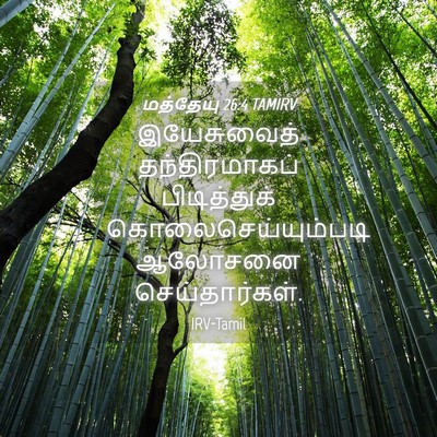 Picture 04 - மத்தேயு 26:4 TAMIRV - இயேசுவைத் - Bible Verse Picture