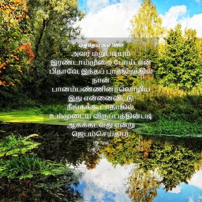 Picture 04 - மத்தேயு 26:42 TAMIRV - அவர் மறுபடியும் - Bible Verse Picture