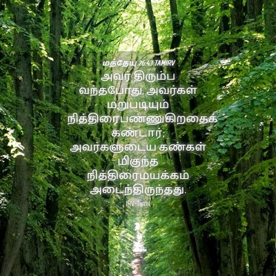 Picture 04 - மத்தேயு 26:43 TAMIRV - அவர் திரும்ப - Bible Verse Picture