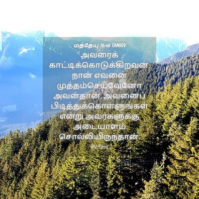 Picture 04 - மத்தேயு 26:48 TAMIRV - அவரைக் - Bible Verse Picture