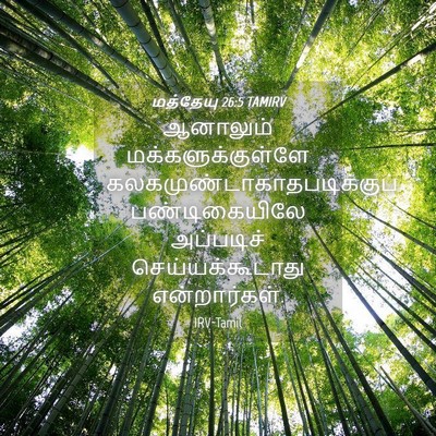 Picture 04 - மத்தேயு 26:5 TAMIRV - ஆனாலும் - Bible Verse Picture