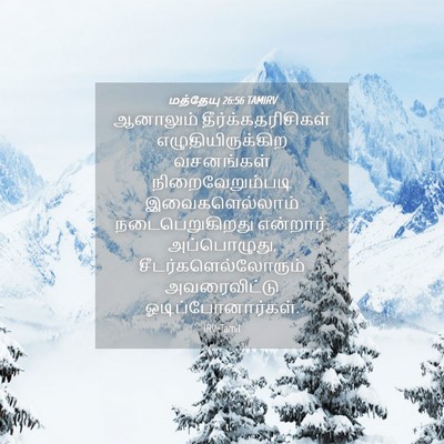 Picture 04 - மத்தேயு 26:56 TAMIRV - ஆனாலும் - Bible Verse Picture