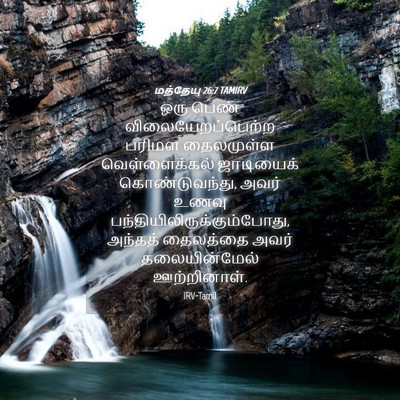 Picture 04 - மத்தேயு 26:7 TAMIRV - ஒரு பெண் - Bible Verse Picture