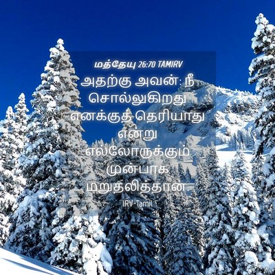 Picture 04 - மத்தேயு 26:70 TAMIRV - அதற்கு அவன்: நீ - Bible Verse Picture