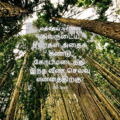Picture 04 - மத்தேயு 26:8 TAMIRV - அவருடைய சீடர்கள் - Bible Verse Picture
