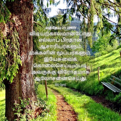 Picture 04 - மத்தேயு 27:1 TAMIRV -  - Bible Verse Picture