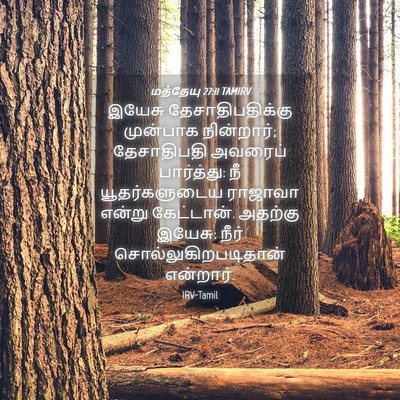 Picture 04 - மத்தேயு 27:11 TAMIRV - இயேசு - Bible Verse Picture