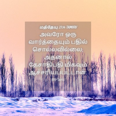 Picture 04 - மத்தேயு 27:14 TAMIRV - அவரோ ஒரு - Bible Verse Picture