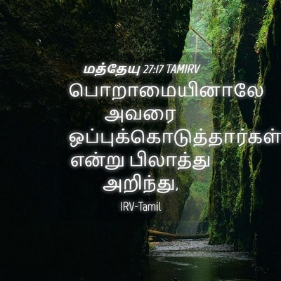 Picture 04 - மத்தேயு 27:17 TAMIRV - பொறாமையினாலே அவரை - Bible Verse Picture
