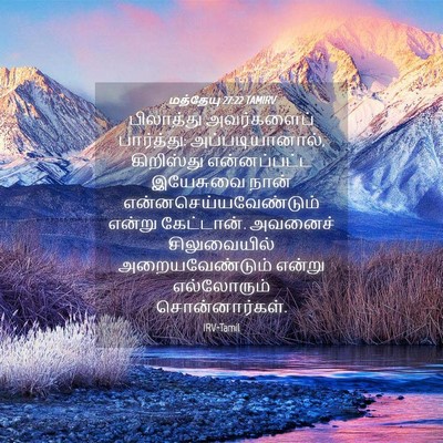 Picture 04 - மத்தேயு 27:22 TAMIRV - பிலாத்து - Bible Verse Picture