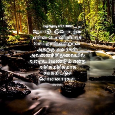 Picture 04 - மத்தேயு 27:23 TAMIRV - தேசாதிபதியோ: ஏன், - Bible Verse Picture