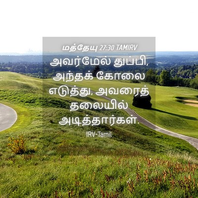 Picture 04 - மத்தேயு 27:30 TAMIRV - அவர்மேல் துப்பி, - Bible Verse Picture
