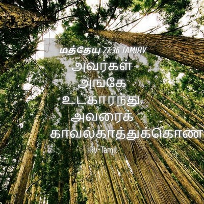 Picture 04 - மத்தேயு 27:36 TAMIRV - அவர்கள் அங்கே - Bible Verse Picture
