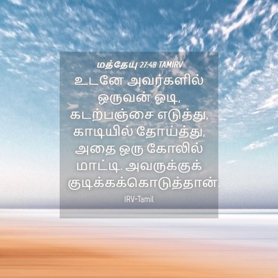 Picture 04 - மத்தேயு 27:48 TAMIRV - உடனே அவர்களில் - Bible Verse Picture