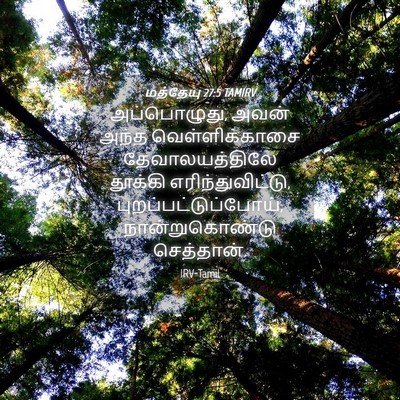 Picture 04 - மத்தேயு 27:5 TAMIRV - அப்பொழுது, அவன் - Bible Verse Picture