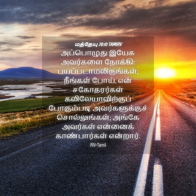 Picture 04 - மத்தேயு 28:10 TAMIRV - அப்பொழுது இயேசு - Bible Verse Picture