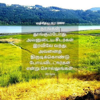 Picture 04 - மத்தேயு 28:13 TAMIRV - நாங்கள் - Bible Verse Picture
