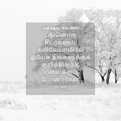 Picture 04 - மத்தேயு 28:16 TAMIRV - பதினொரு - Bible Verse Picture