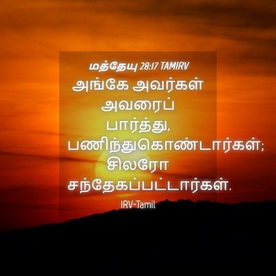 Picture 04 - மத்தேயு 28:17 TAMIRV - அங்கே அவர்கள் - Bible Verse Picture