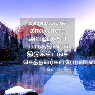 Picture 04 - மத்தேயு 28:4 TAMIRV - காவலாளர் - Bible Verse Picture